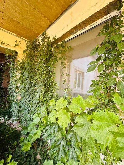 Многокомнатная квартира по адресу ул. Китобойная (площадь 180 м²) - Atlanta.ua - фото 3