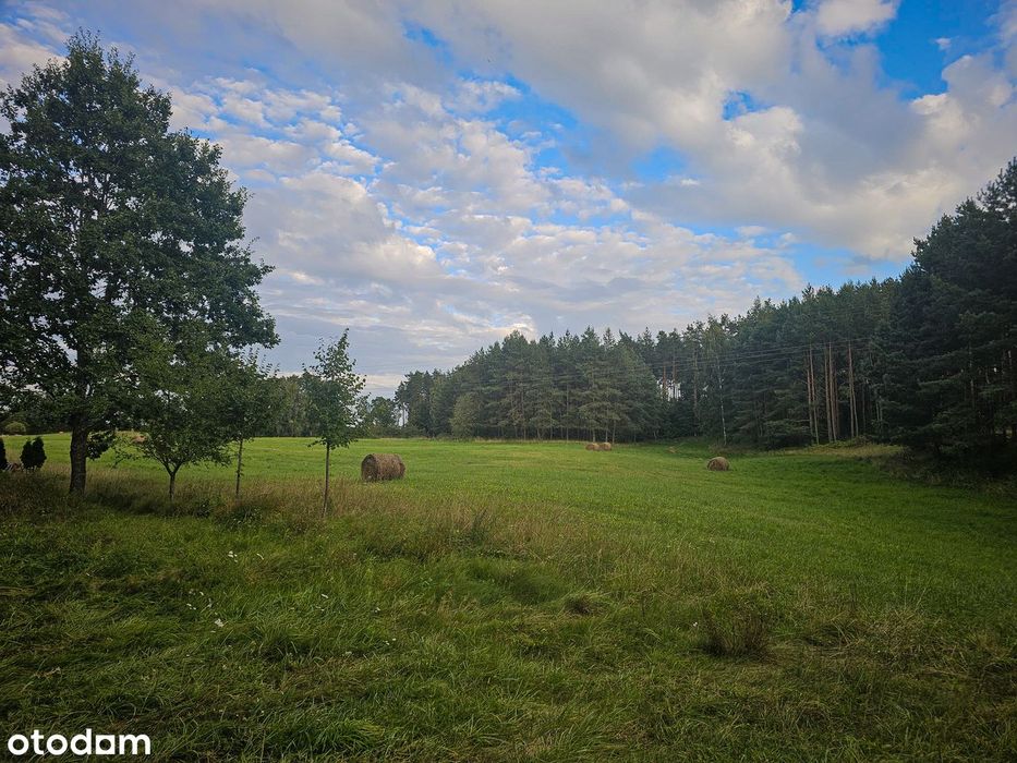 Urocze siedlisko 10,97 ha otoczone lasem – Klewno gmina Reszel - Więcej