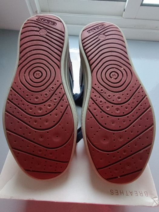 Sapatilhas Geox número 36