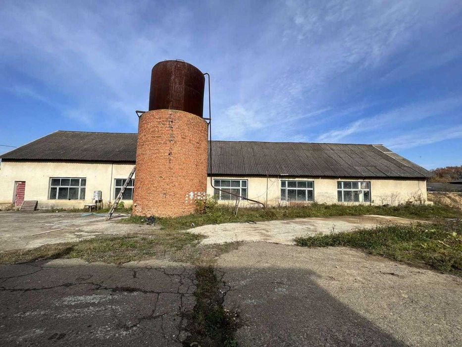Продаж виробничо-складського приміщення, цегельний завод, с. Горбачі