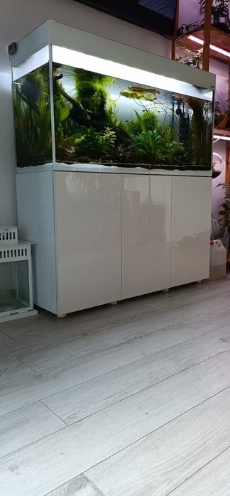 Akwarium Aquael glossy 120 cm 260 l