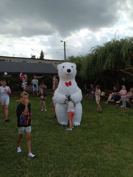 Biały miś na imprezę