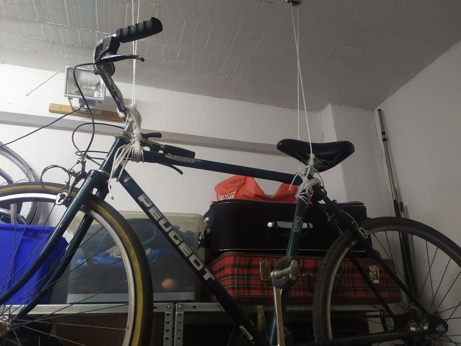 Bicicletas pasteleira