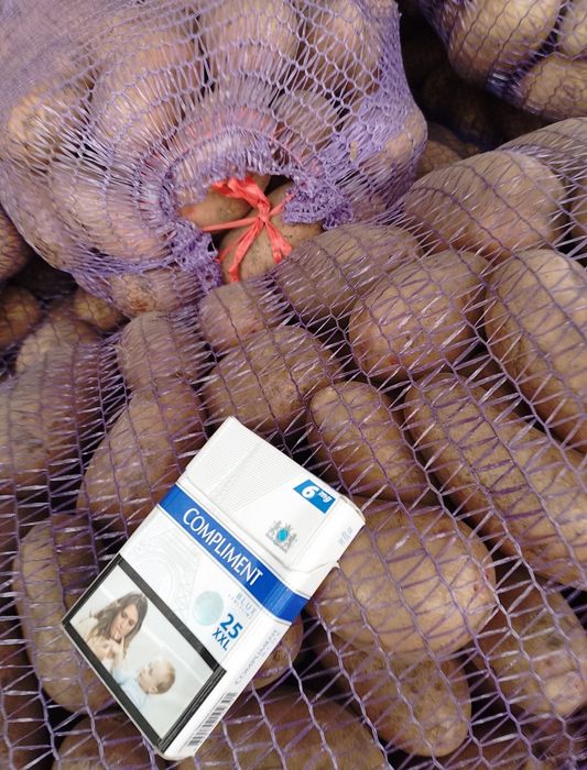 Продам Чернігівську картошкуртошку розовних та білих сортів