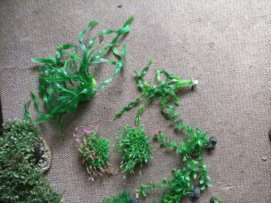 Sztuczne rośliny do akwarium