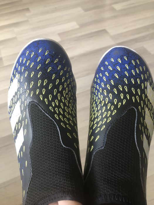 Buty halowe adidas Predator