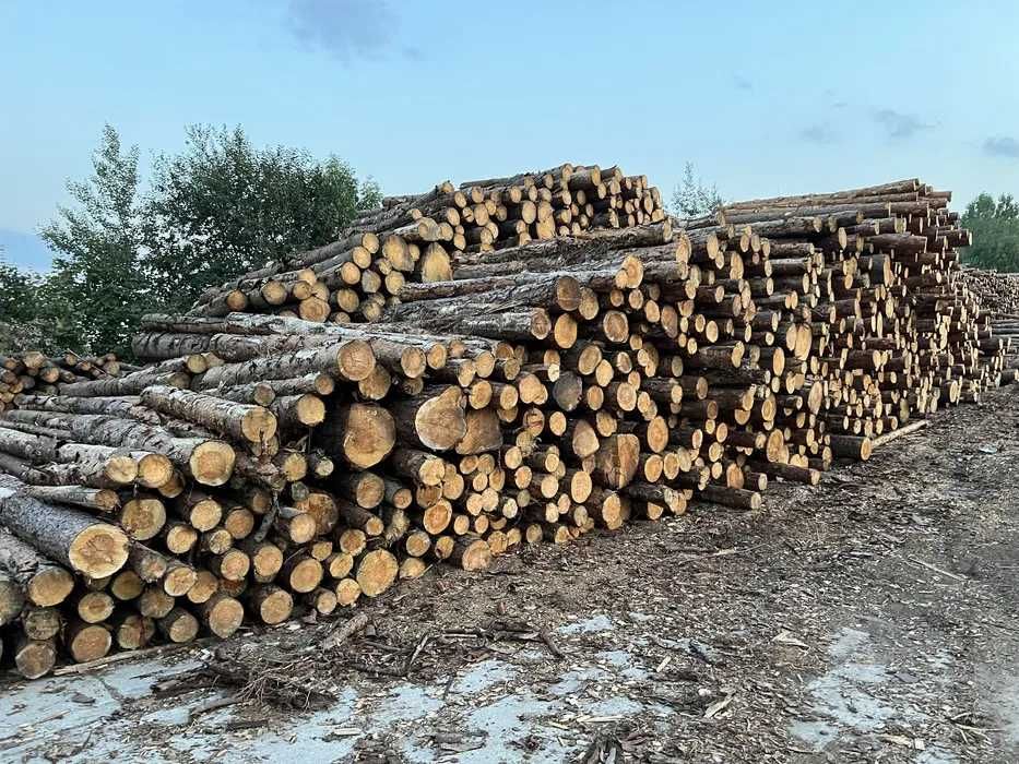drewno opałowe do pieca suche sosnowe tanie drzewo