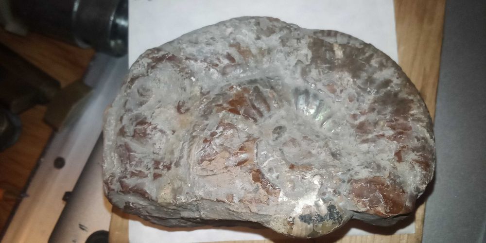 Zestaw 4 naturalnych minerałów i skamielin (Ametyst, Aragonit, Kwarc, Amonit) – Okazy Kolekcjonerskie