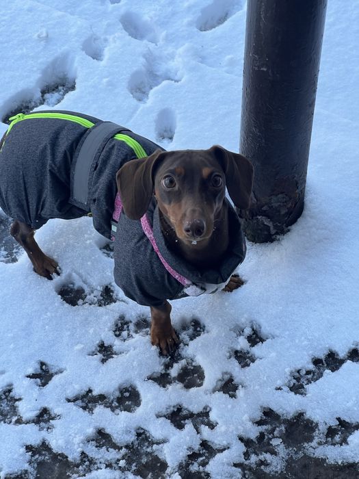 Продам комбінезон для такси (XS)