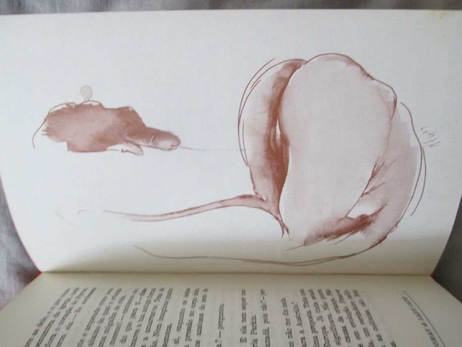 John Thomas & Lady Jane, de  D.H Lawrence, com desenhos eróticos