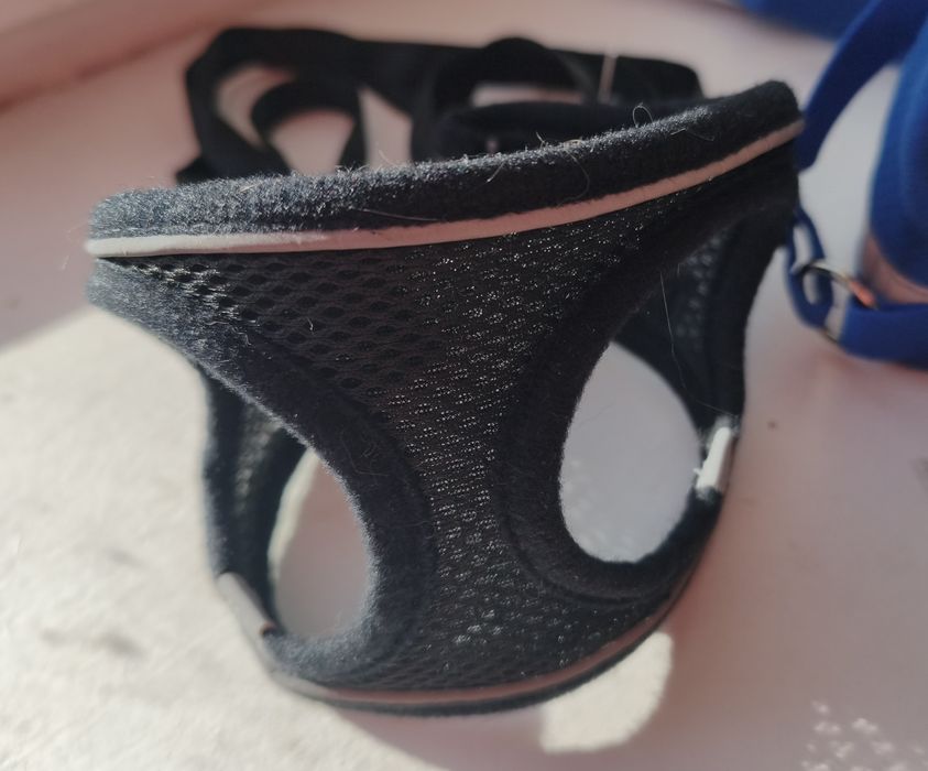 Шлейка для маленьких собак