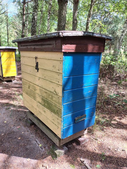 Sprzedam dwie rodziny pszczele