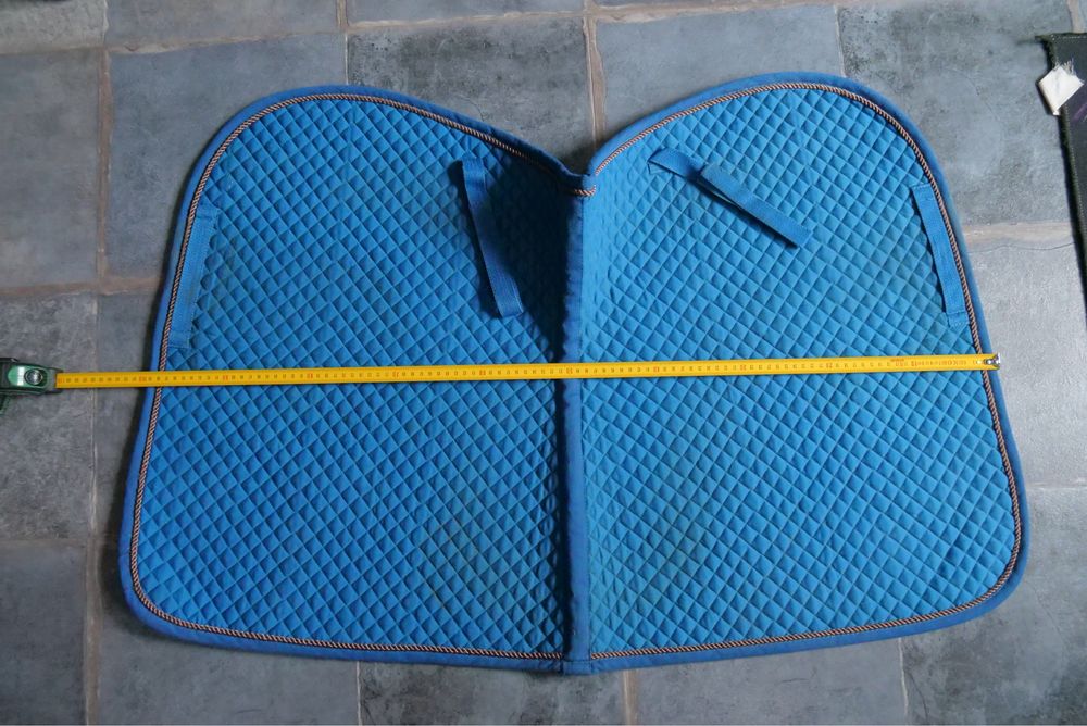 Trzy czapraki wszechstronne