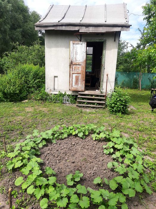 Обміняю дачу під Києвом на хату в селі