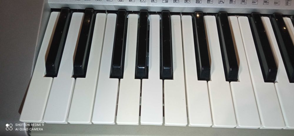 Keyboard yamaha psr 295
