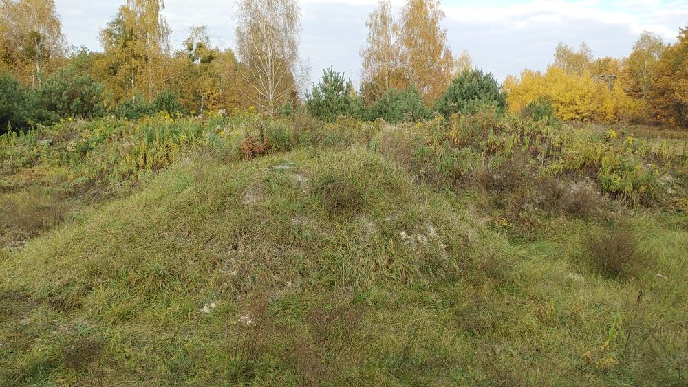 Oddam ziemie na podniesienie terenu