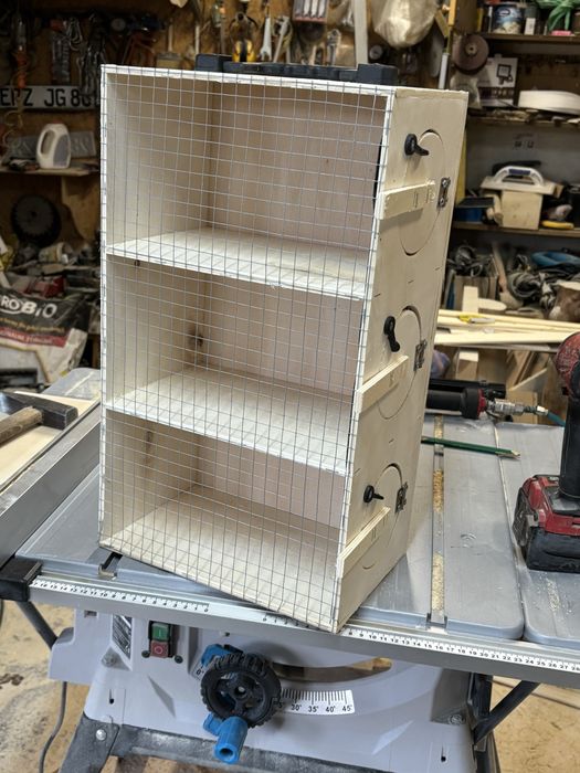 Transportery dla papug