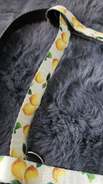 Zestaw szelki obroża smycz Sinsay