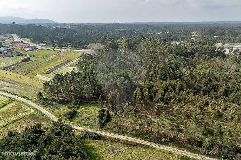 Terreno  para venda