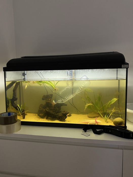 aquario 100L 80cm