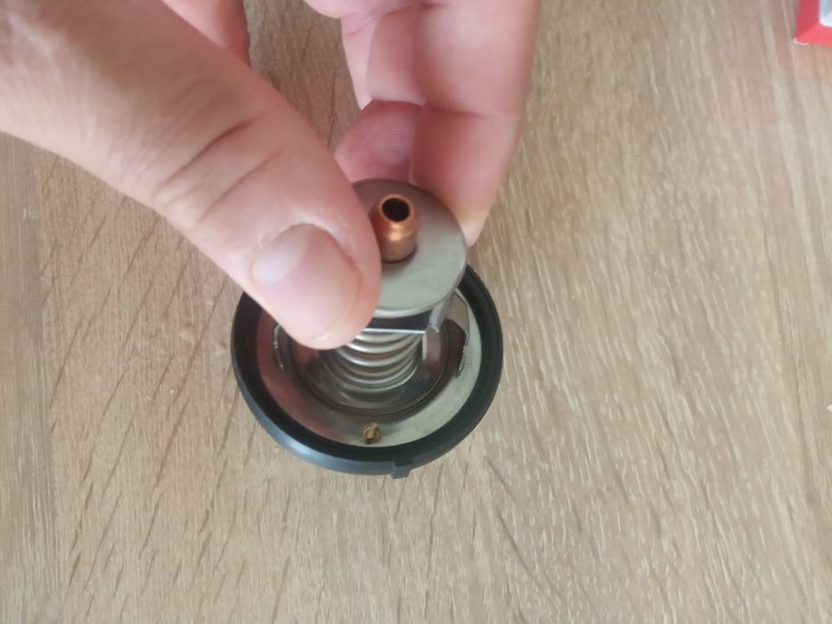 Термостат рабочий.