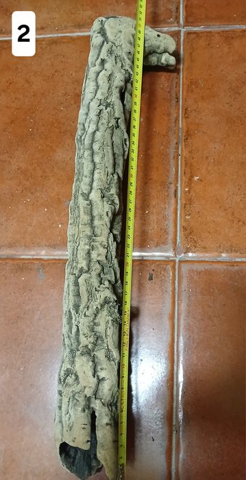 Cortiça para terrario ou decoração