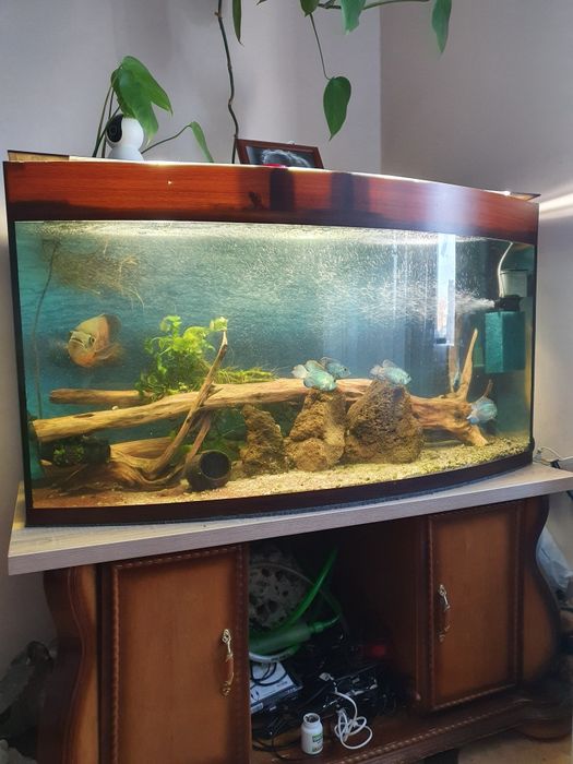 Панорамний акваріум 400 літрів. Самовивіз.