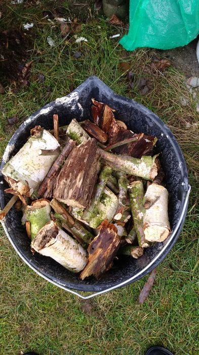 WYPOŻYCZALNIA wynajem wypożycz RĘBAK spalinowy do gałęzi rozdrabniacz