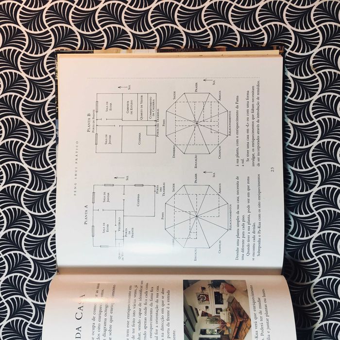 Feng Shui - Richard Craze