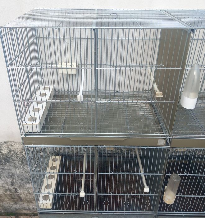 Viveiros duplos  criação