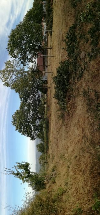 Terreno Urbano 1200 m2 - Freguesia da Pena - Vila Real