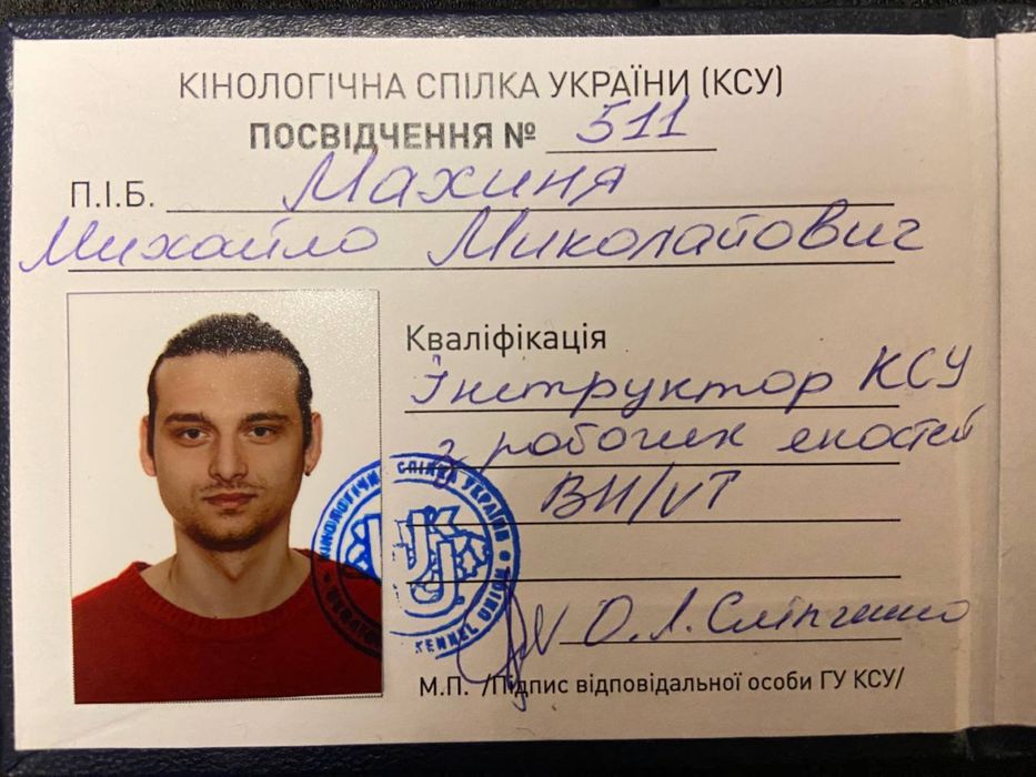 Дрессировка-Кинология