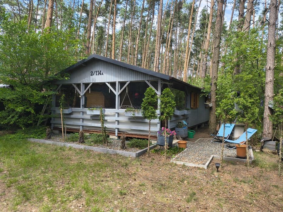 Sprzedam domek letniskowy
