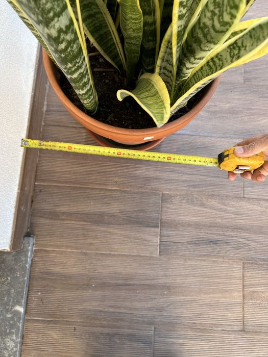 Vaso com Espada Sao Jorge