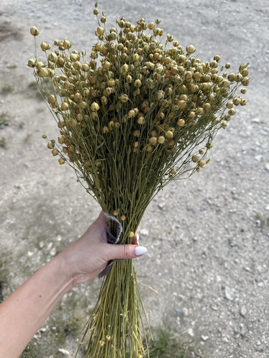 Льон сухоцвіт в наявності