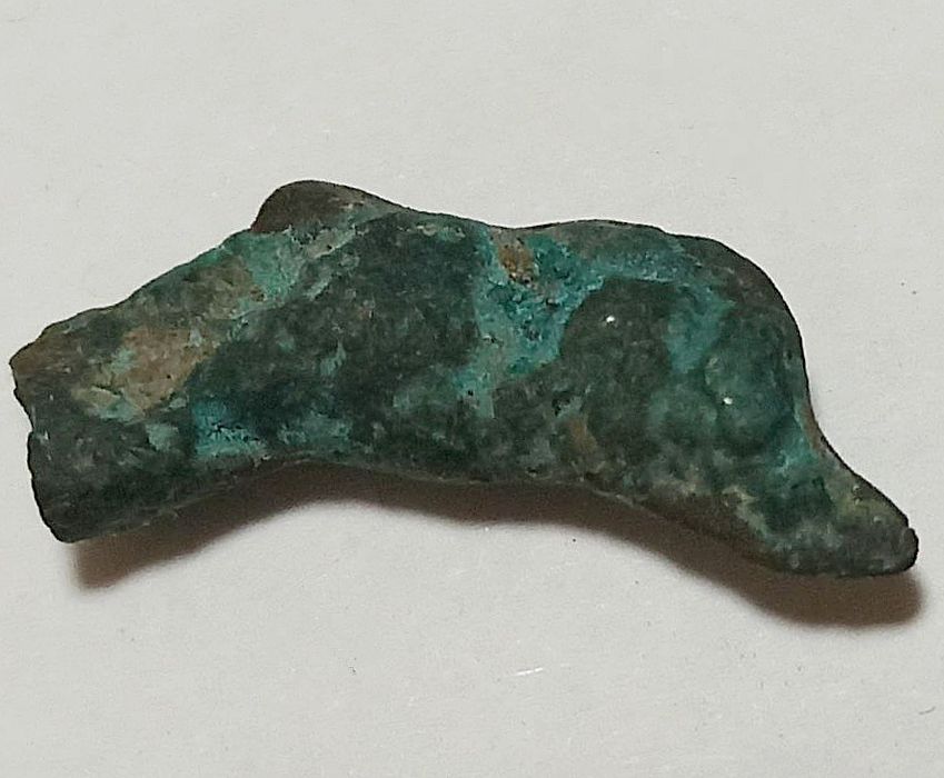 Монета Ольвия : Дельфин