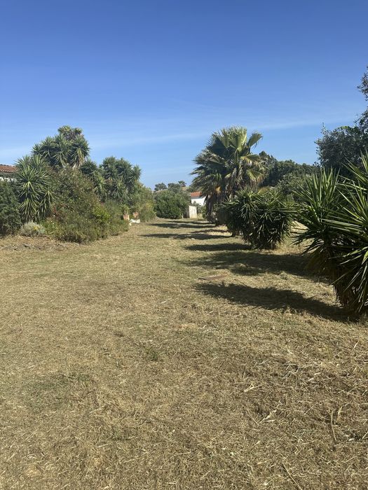 Limpeza de Terrenos e Quintas | O Moço do Laré