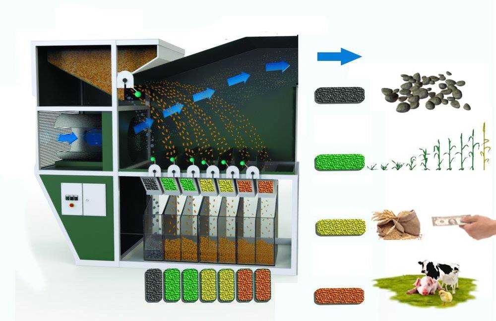 Separator aerodynamiczny, wialnia, czyszczalnia