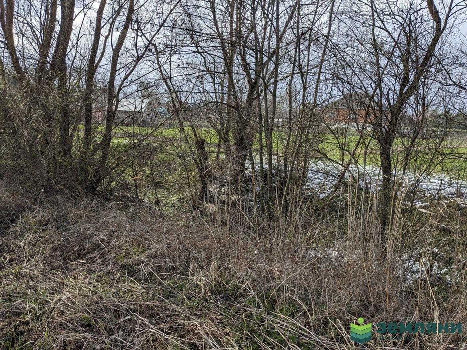 Продаж землі 32,87 сотки в с.Клубівці під забудову (5)