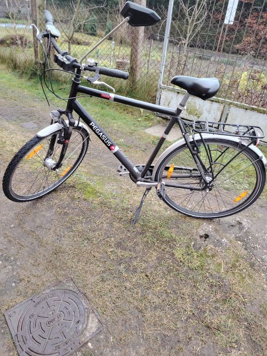 Rower męski. PEGASUS