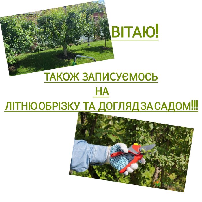 САДІВНИКОбрізка  плодових дерев!Займаюся бюджетною та якісною обрізкою