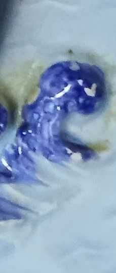 Porcelanowy talerz kolekcjonerski średnica 20,5 cm