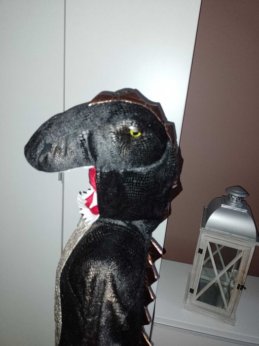 Strój karnawałowy SMOKA DINOZAURA kostium przebranie 104/110 (129 )