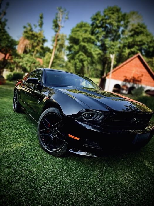 Wynajem auta   - Ford Mustang V6