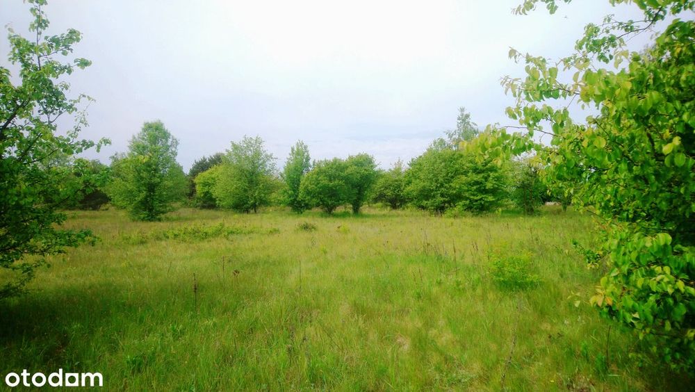 Sprzedam działkę budowlaną o pow. 1093 m² z pozwoleniem na budowę domu. - Widok 4