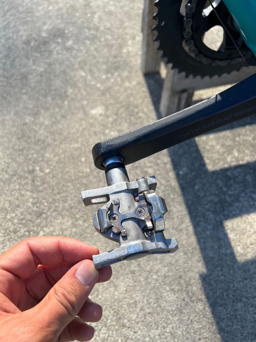 Specialized Dolce Sport