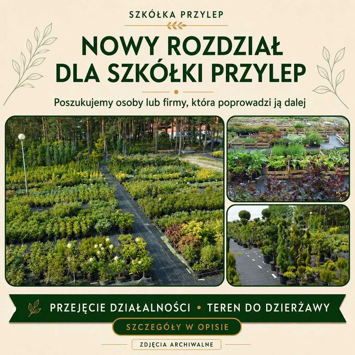 Szkółka roślin – przejęcie działalności i dzierżawa terenu