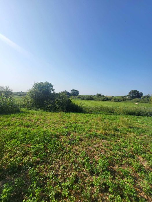 великий будинок з великою ділянкою(28сот) в с.Новий Милятин