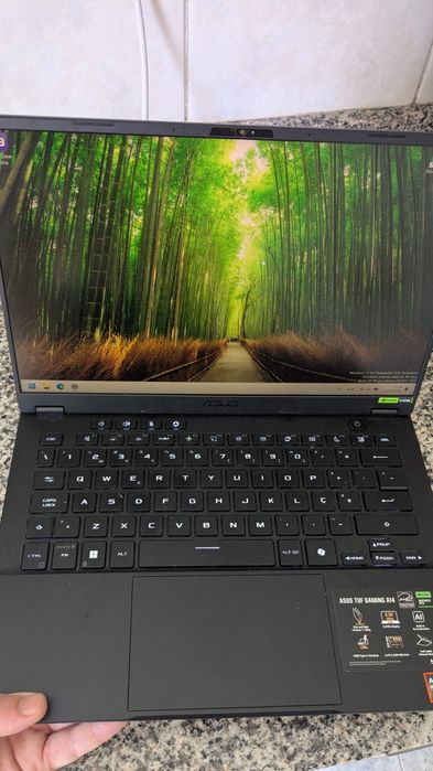 Asus Tuf Gaming A14 (FA401WV-A91B46CS1) --> RTX 4060 | 32GB RAM  | ryzen ai 9 hx 370 (Zen5)