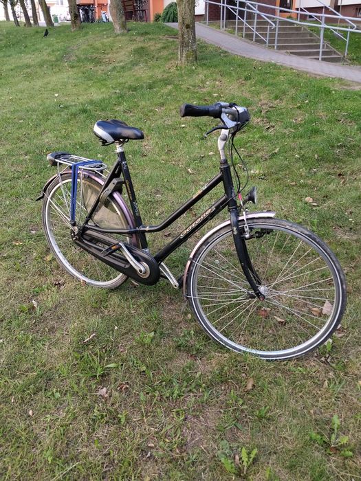 Rower Holenderski